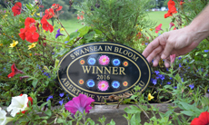 Swansea in Bloom 2016